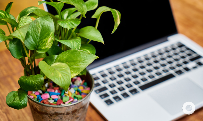 Green code: 4 principles for environmentally friendly software ...